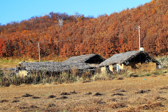 莫力达瓦山村农家