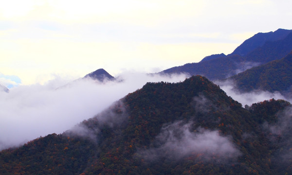 云山雾海