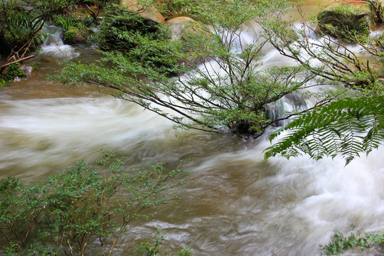 四洞沟珍珠滩水上盆景