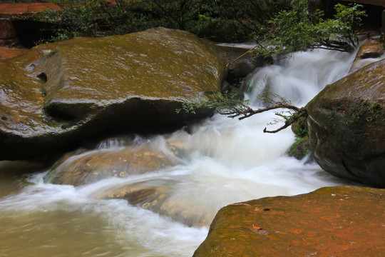 四洞沟珍珠滩水上盆景