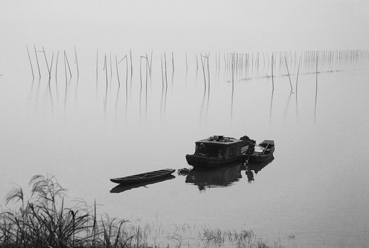 洞庭湖青山岛湿地的船