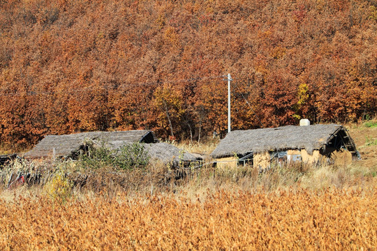 莫力达瓦山村农家