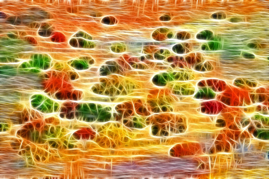 多彩的自然 电脑画