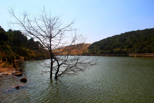 天池秋景