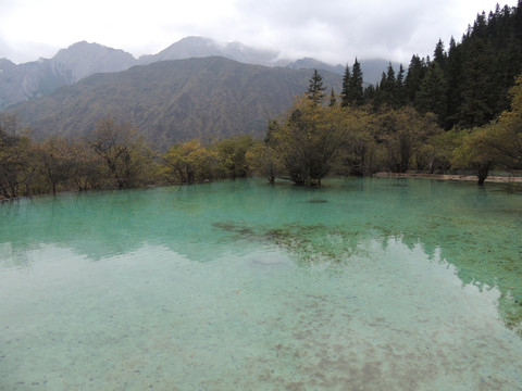 黄龙瑶池