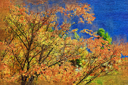 秋树红叶 电脑油画