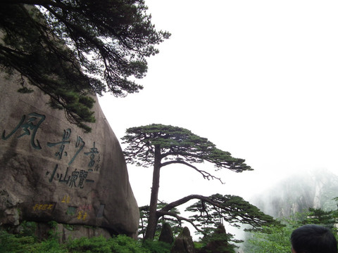 安徽黄山 迎客松