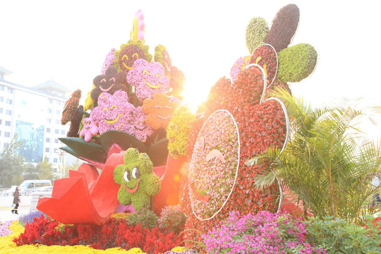 花朵笑脸