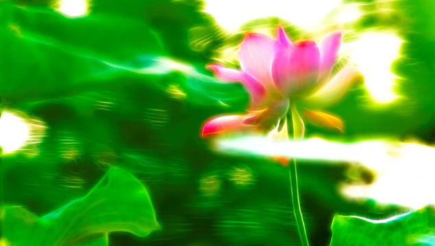荷