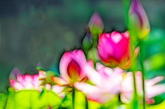 荷