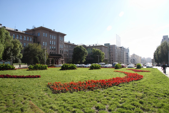 哈尔滨工业大学 校园绿地