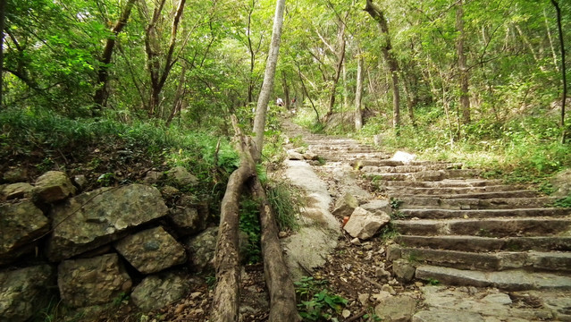 山林 山中石阶 紫金山