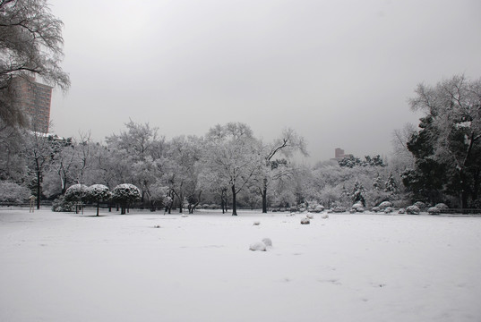 雪景