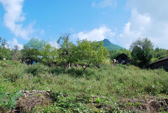 小山村