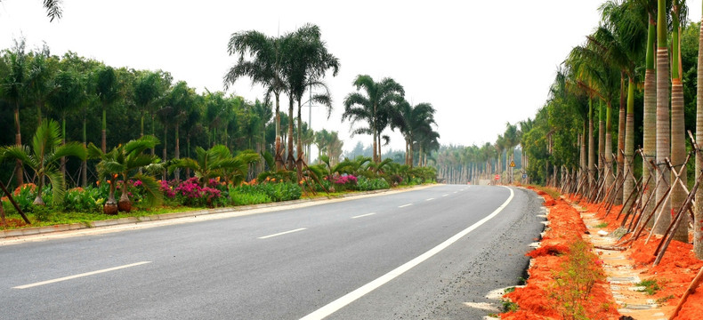 道路景观