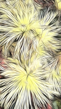 装饰画  花