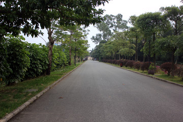 深圳观澜版画村