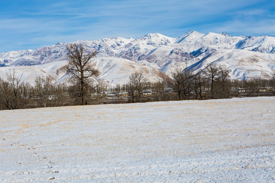 草原雪景