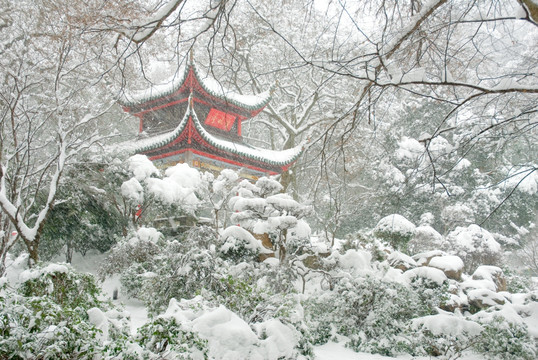 冬天雪景的爱晚亭