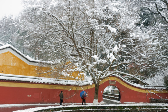 冬天雪景的岳麓书院