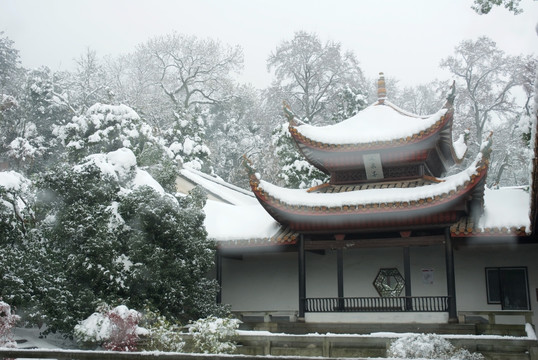 冬天雪景的岳麓书院