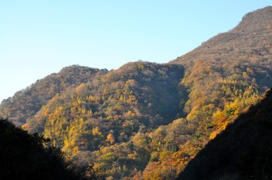 巴中南江县香炉山