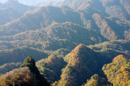 巴中南江米仓山