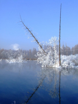 冬天的湿地