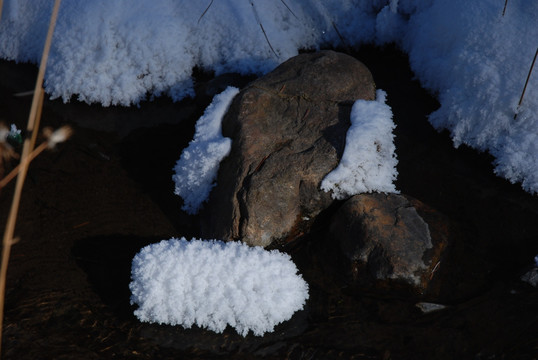 雪