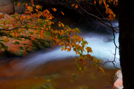 秋水溪流