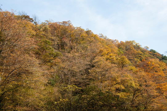 巴中南江县光雾山大小兰沟