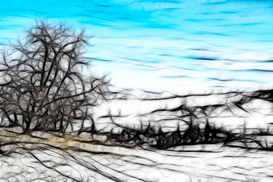 装饰画   自然风景