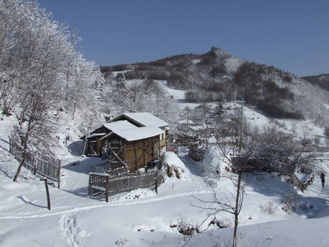 雪村