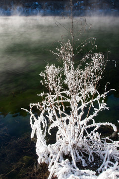 河畔秋霜