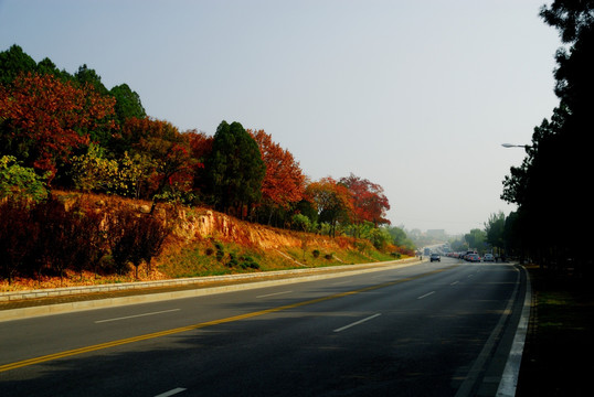 环山公路上的秋色