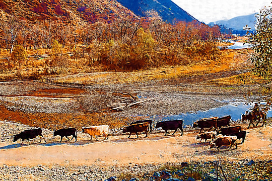 装饰画  秋景