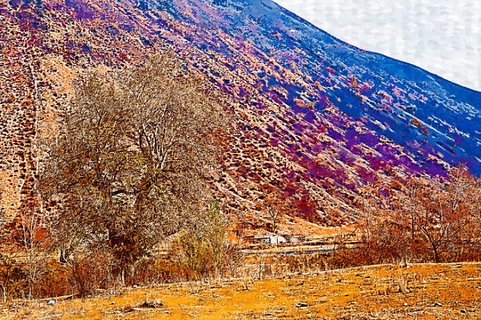装饰画