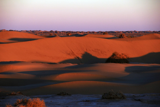 沙丘的早晨