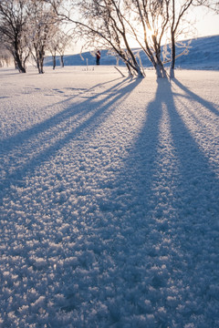 冰河晨曦 小树 雾凇 太阳