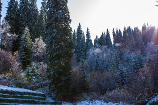 那拉提初雪