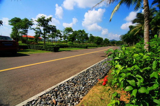 道路