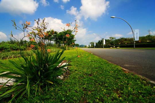 道路景观