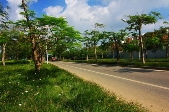 道路