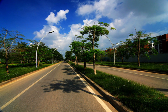 道路