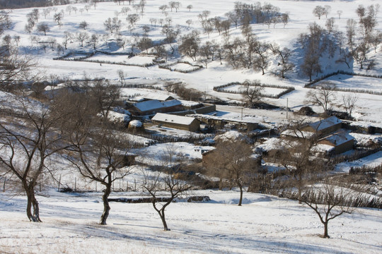 山坡 树林 雪地 围栏