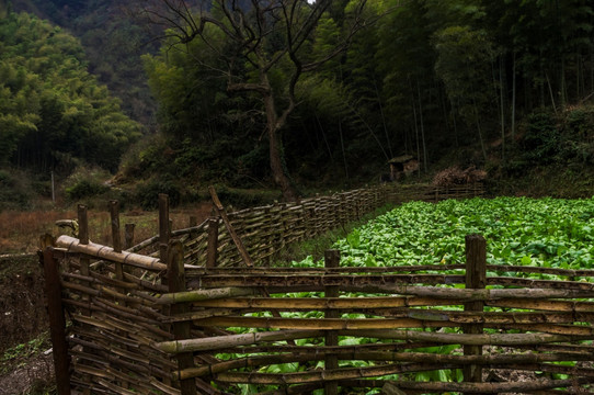 山村