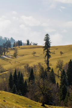 草原秋景