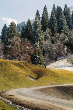 山路弯弯