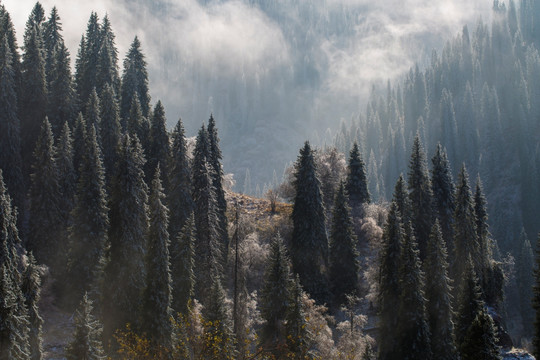 雾锁天山