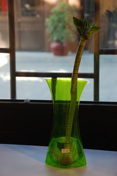 花瓶 创意花瓶 艺术作品